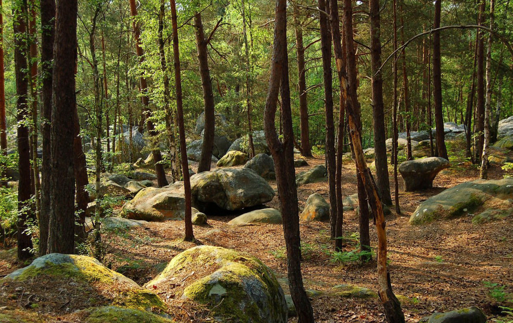 fontainebleau