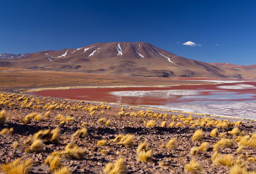 Petit tour au Chili à l'occasion d'un voyage dans le désert d'Atacama