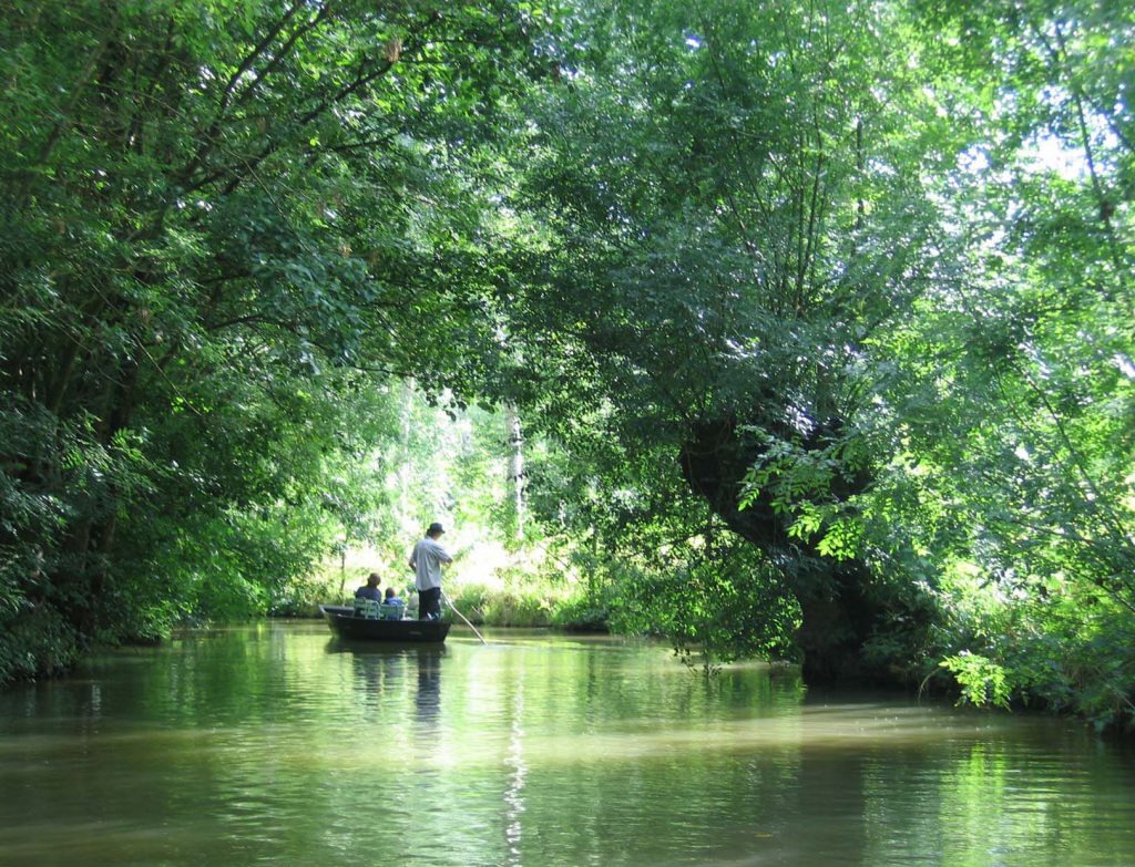 Vous pouvez découvrir, en barque, le maris poitevin. Photo Gilbert Bochenek