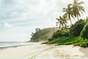 Plage paradisiaque des Seychelles