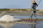 Découvrir le patrimoine des marais salants de Guérande