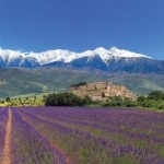 Le mont Ventoux : le sommet culminant de Provence
