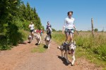 3 activités nature originales à faire en Haute-Loire